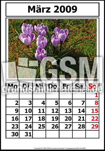3-Kalender-N-09-März.jpg